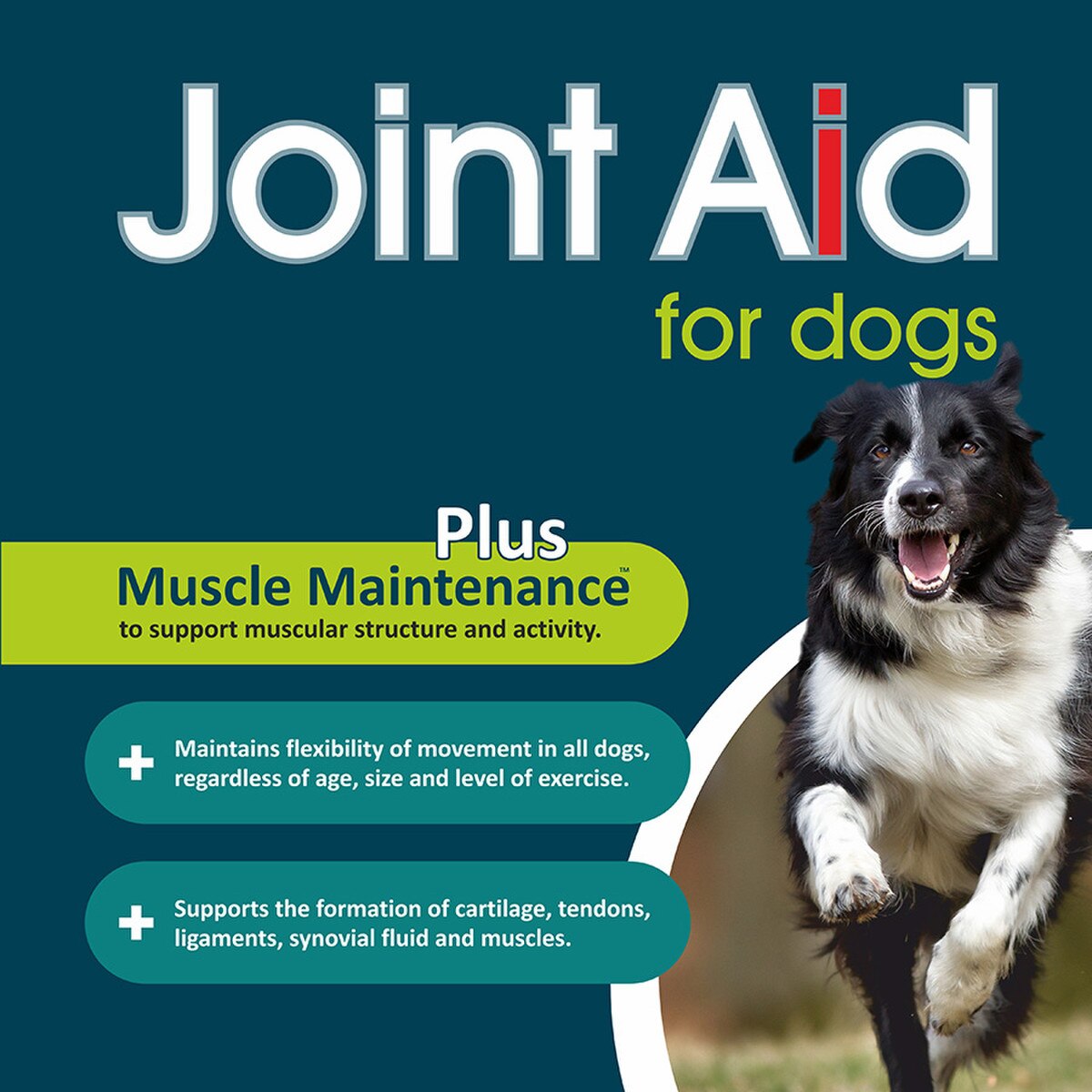 GWF Nutrition Joint Aid for Dogs 250g |Save at Petshop.co.uk