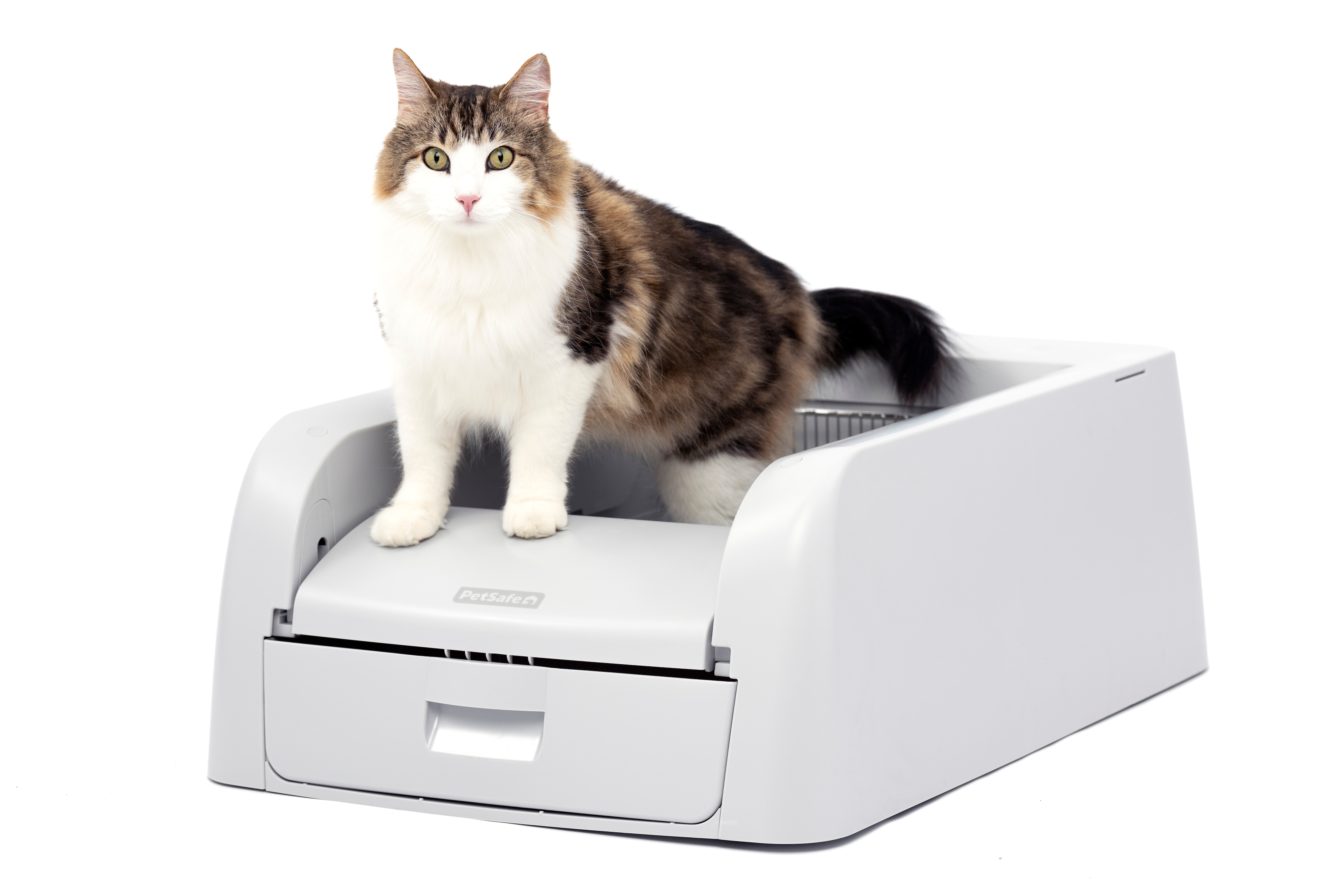 PetSafe Scoop Free Clumping Self-Cleaning Litter Box Available