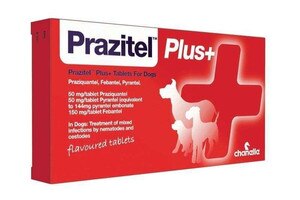 prazitel plus worming flavoured tablets for dogs 1 tablet by prazitel