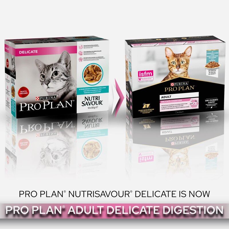 pro plan delicate cat