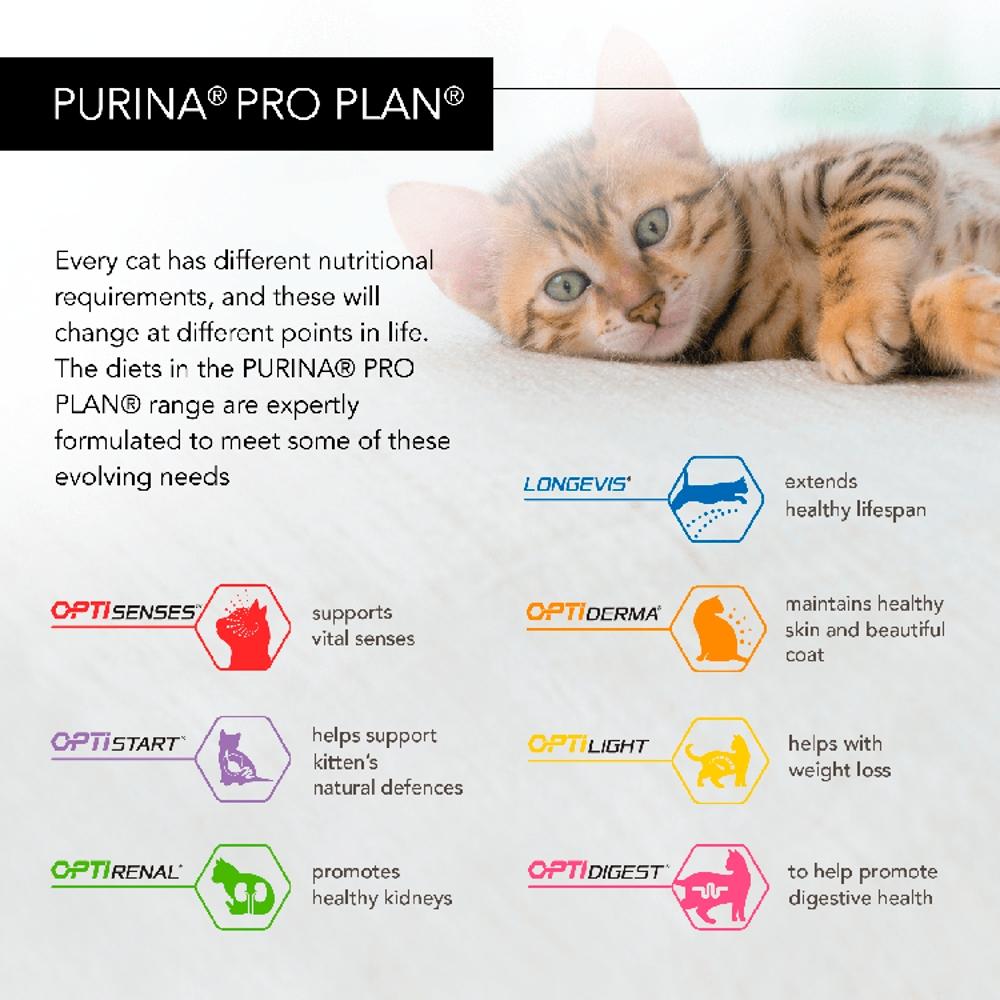 pro plan housecat
