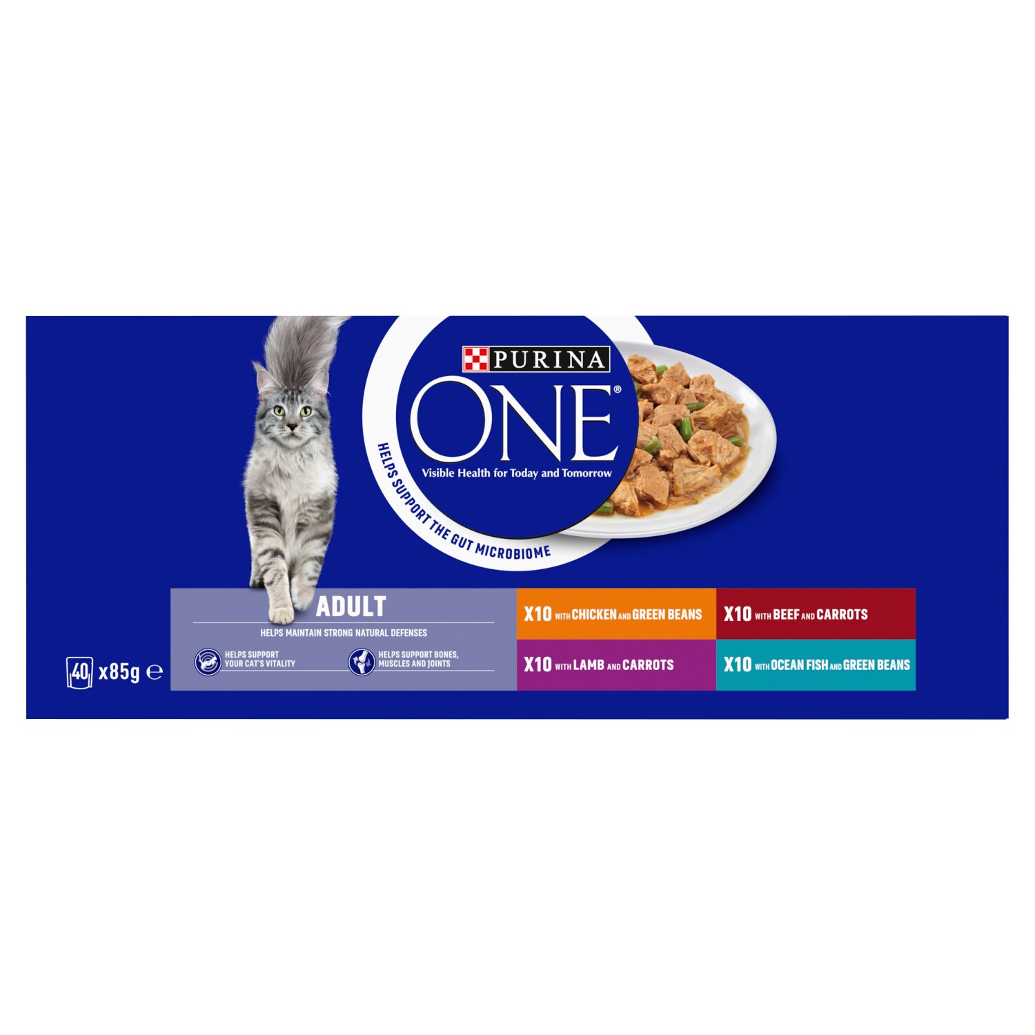 Purina ONE Mini Fillets in Gravy Wet Cat Food Pouches 40 x 85g - Main Image