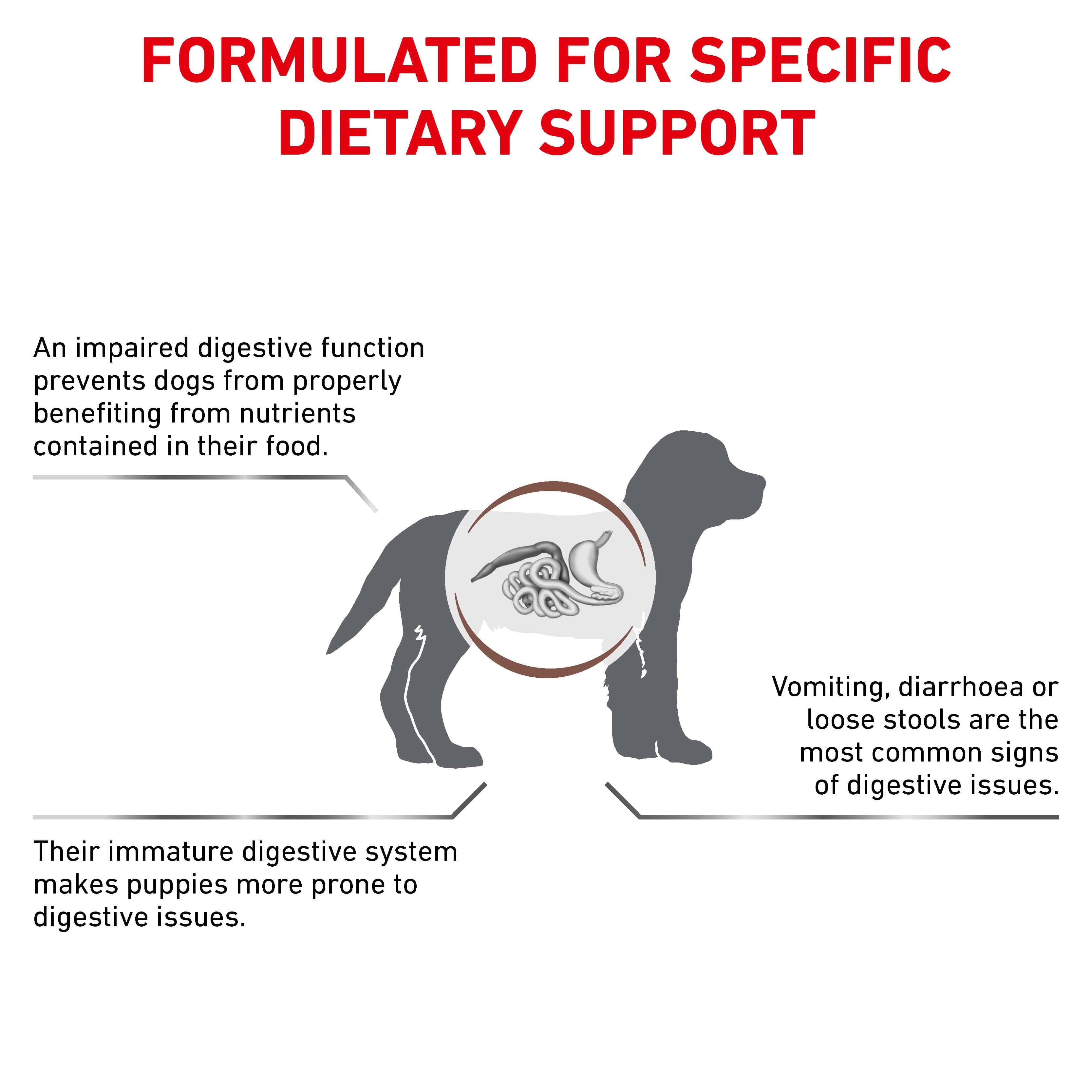 royal canin gi junior
