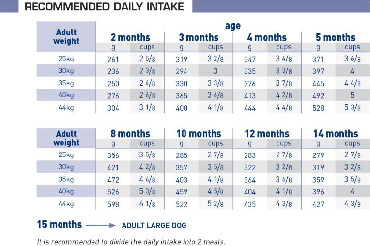 royal canin junior large dog pediatric