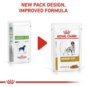 Urinary Royal Canin Vets Friends Royal Canin Veterinary Diet