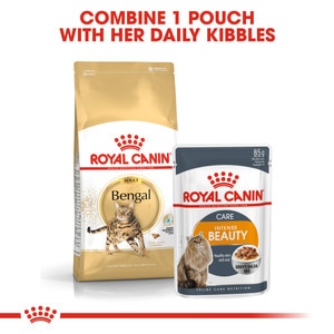 Royal Canin Feline Adult Bengal Dry Cat Food - 10kg - Buy ...