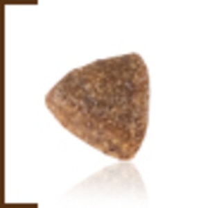gastrointestinal cat food uk
