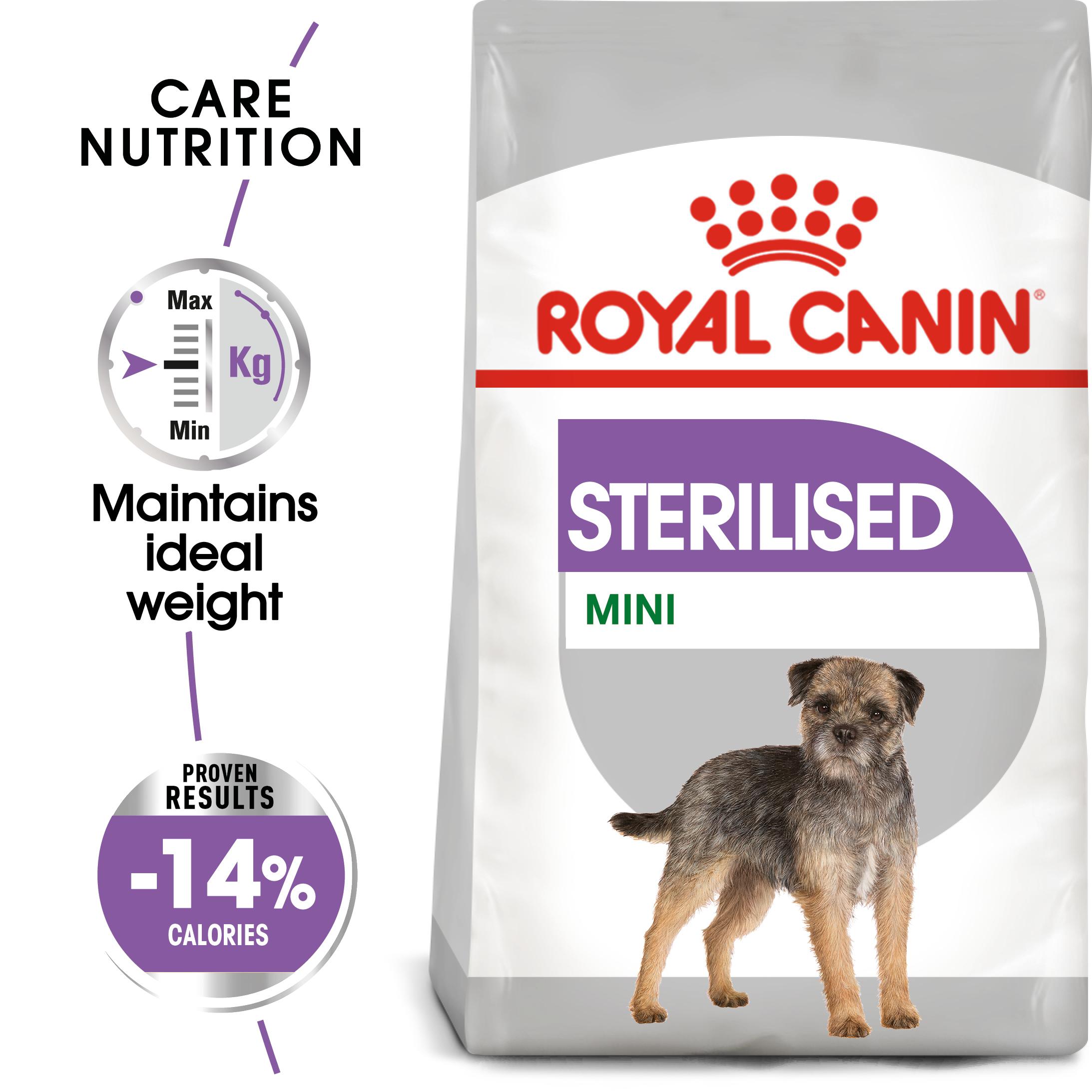 royal canin mini adult dry dog food