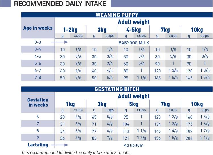 pediatric starter small dog