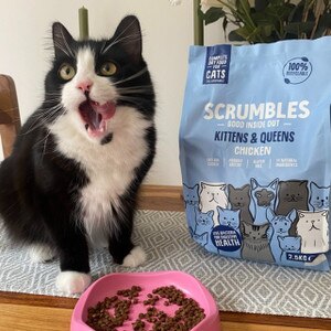 Scrumbles Kitten Chicken Dry Cat Food Available with