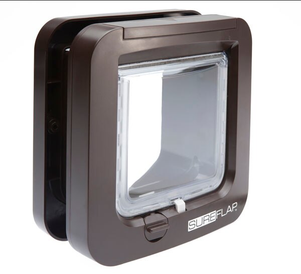 black cat flap microchip