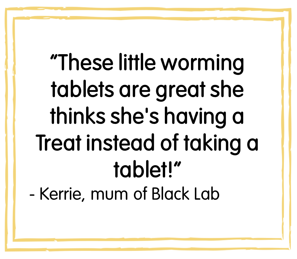 veloxa worming tablets