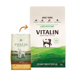 Vitalin Lamb and Mint Adult Dry Dog Food 12kg free delivery at