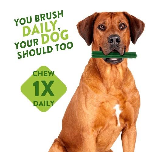 whimzees stix small 150