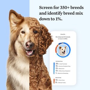 Breed Identification Wisdom Panel Breeds Wisdom Panel Breed