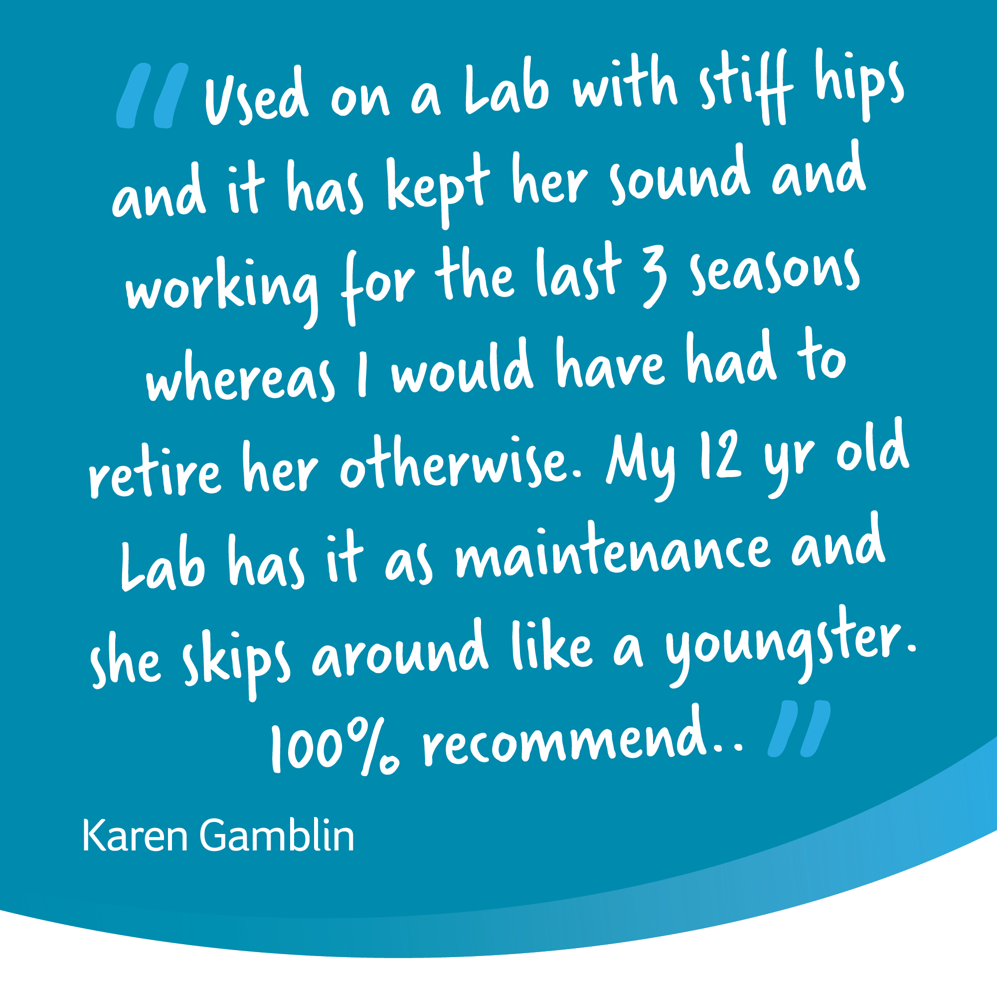 yumove dog 480 tablets