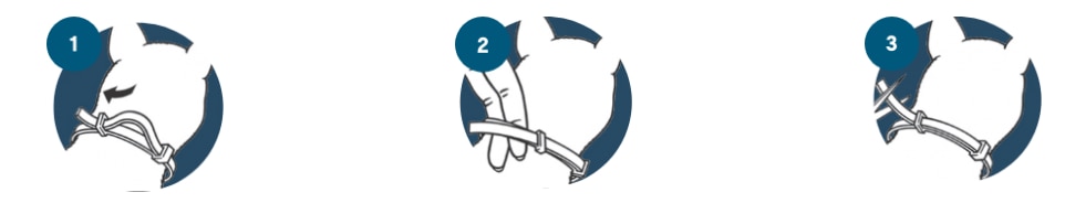 How to Fit the Seresto Collar Diagram