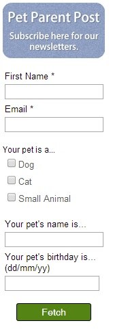 Pet Parent Post