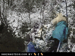 dog-jumps-on-man.gif
