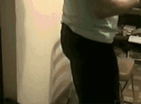dog-pushes-chair.gif