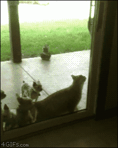 door-opener.gif