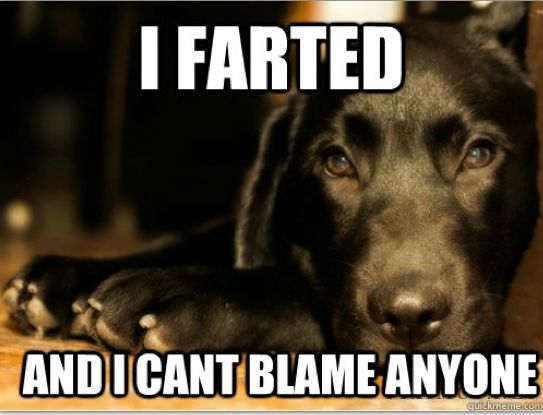 fart.jpg