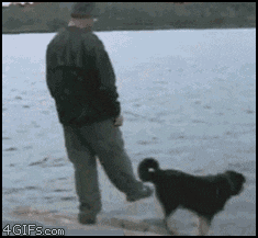 fisherman-pushes-dog-lake-karma.gif