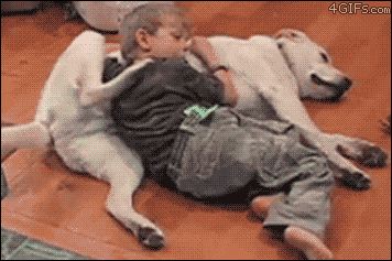 friends.gif
