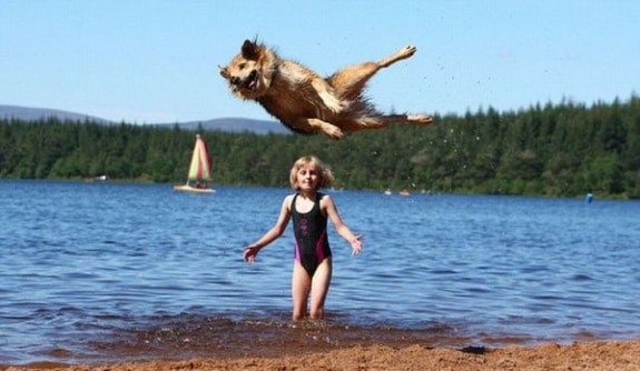 jump.jpg