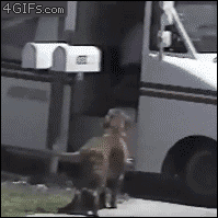 mail.gif