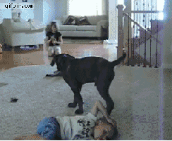 sit-on-kid.gif