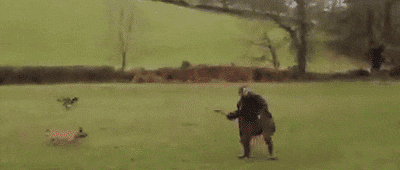 throw.gif